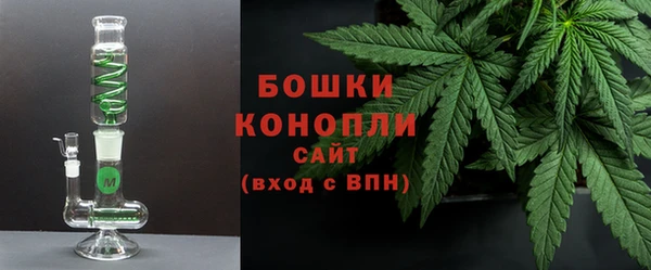 МДПВ Богородск