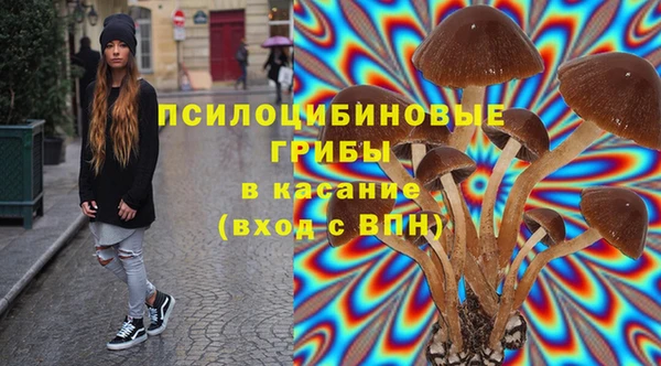 МДПВ Богородск