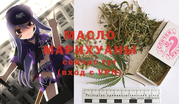 МДПВ Богородск